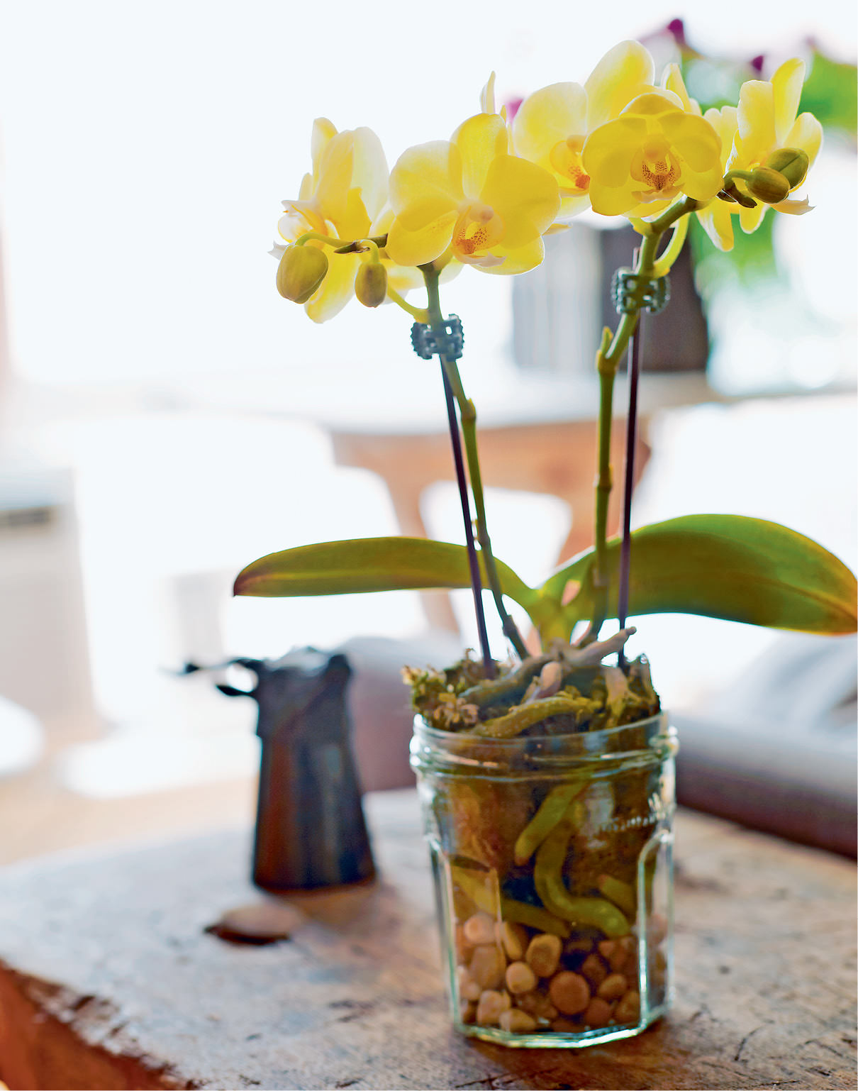 Jam Jar Vases