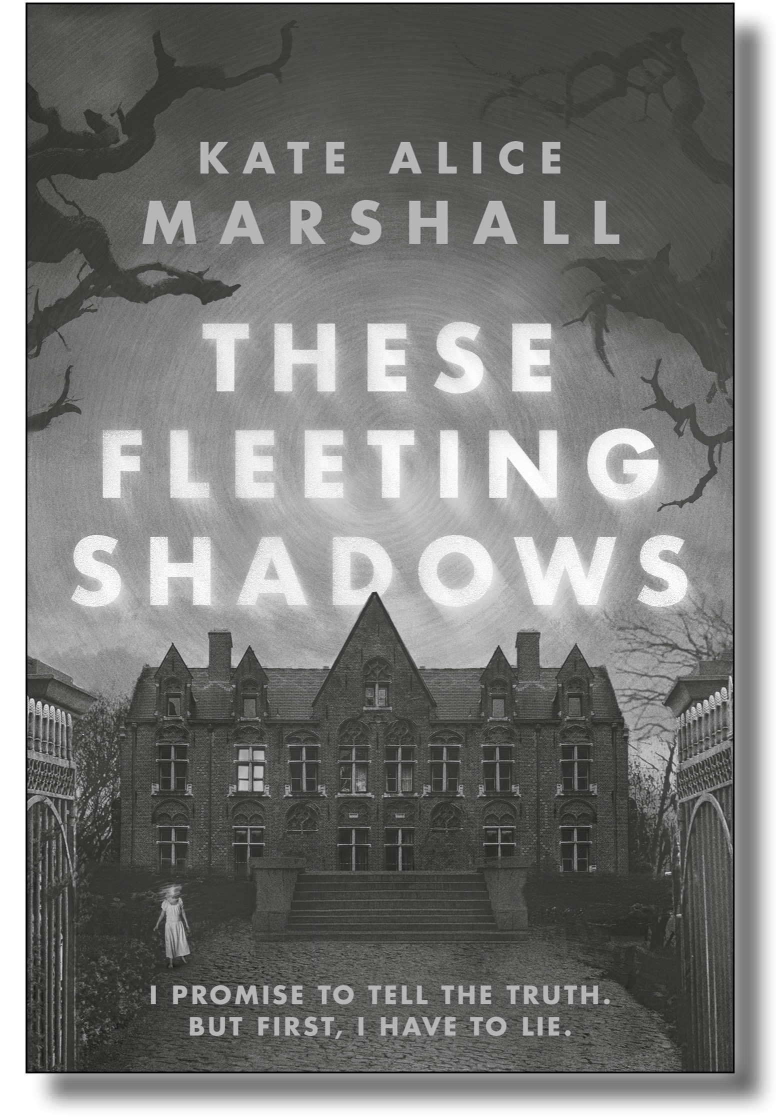 Cover for THESE FLEETING SHADOWS