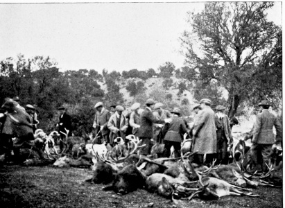 THE DAY’S RESULTS. Royal Shooting at the Pardo, near Madrid.