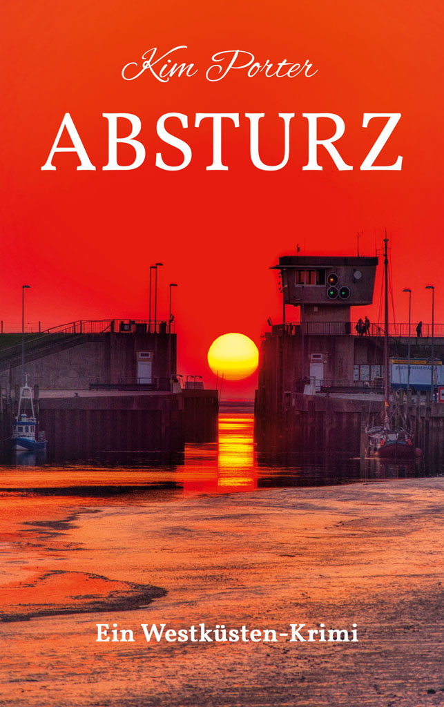 Coverabbildung des Buches “Absturz”