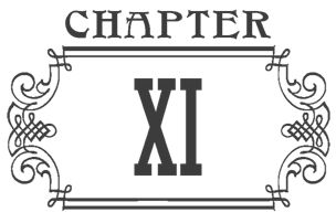 Chapter 11