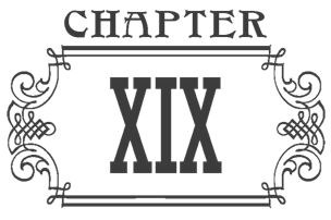 Chapter 19