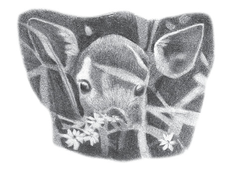 A drawing of a deer peering out through some greenery. It is only visible from the eyes and up.