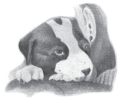 A drawing of the puppy, who is resting their chin and front paws on a human's shoulder.