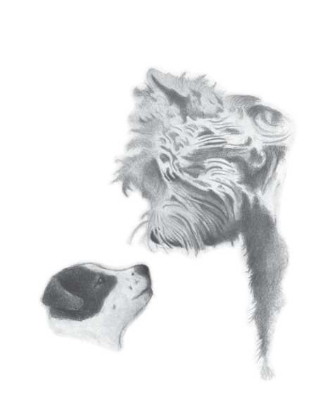 A drawing of Harvey and Bertie. Harvey is standing over Bertie, looking down at her. Their noses are almost touching,