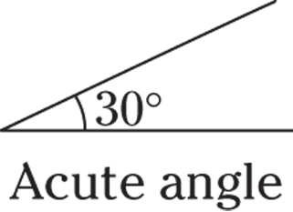 Geometrical representation of acute angle with an angle of 30°.