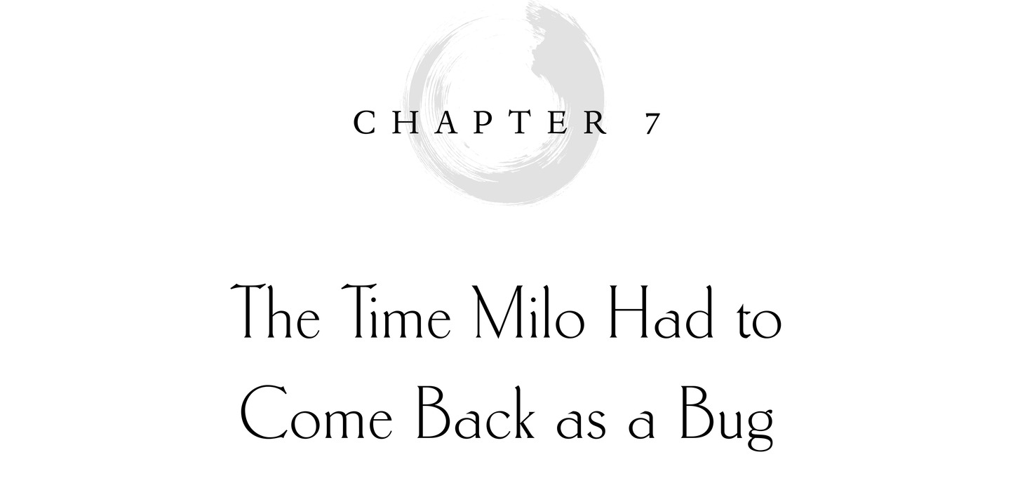 Chapter 7 The Time Milo Had to Come Back as a Bug