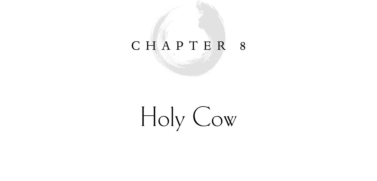 Chapter 8 Holy Cow