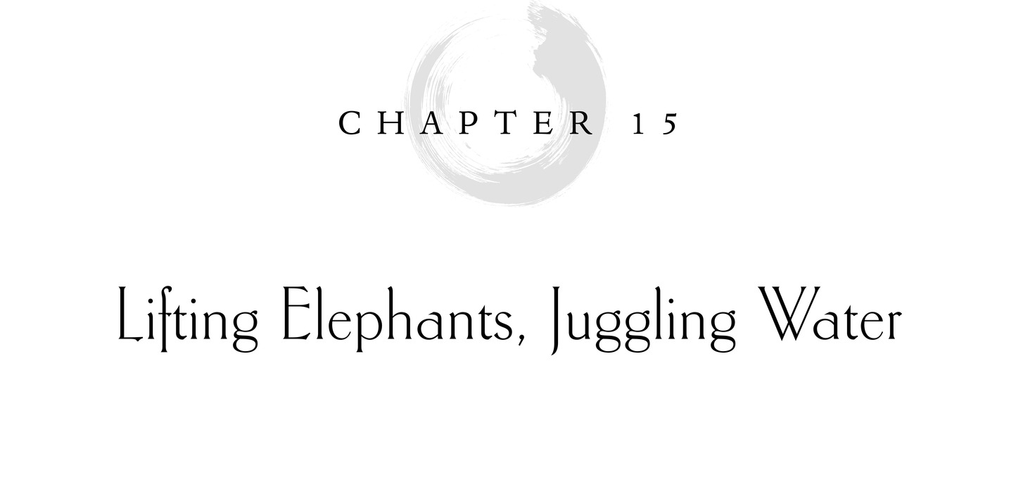 Chapter 15 Lifting Elephants, Juggling Water