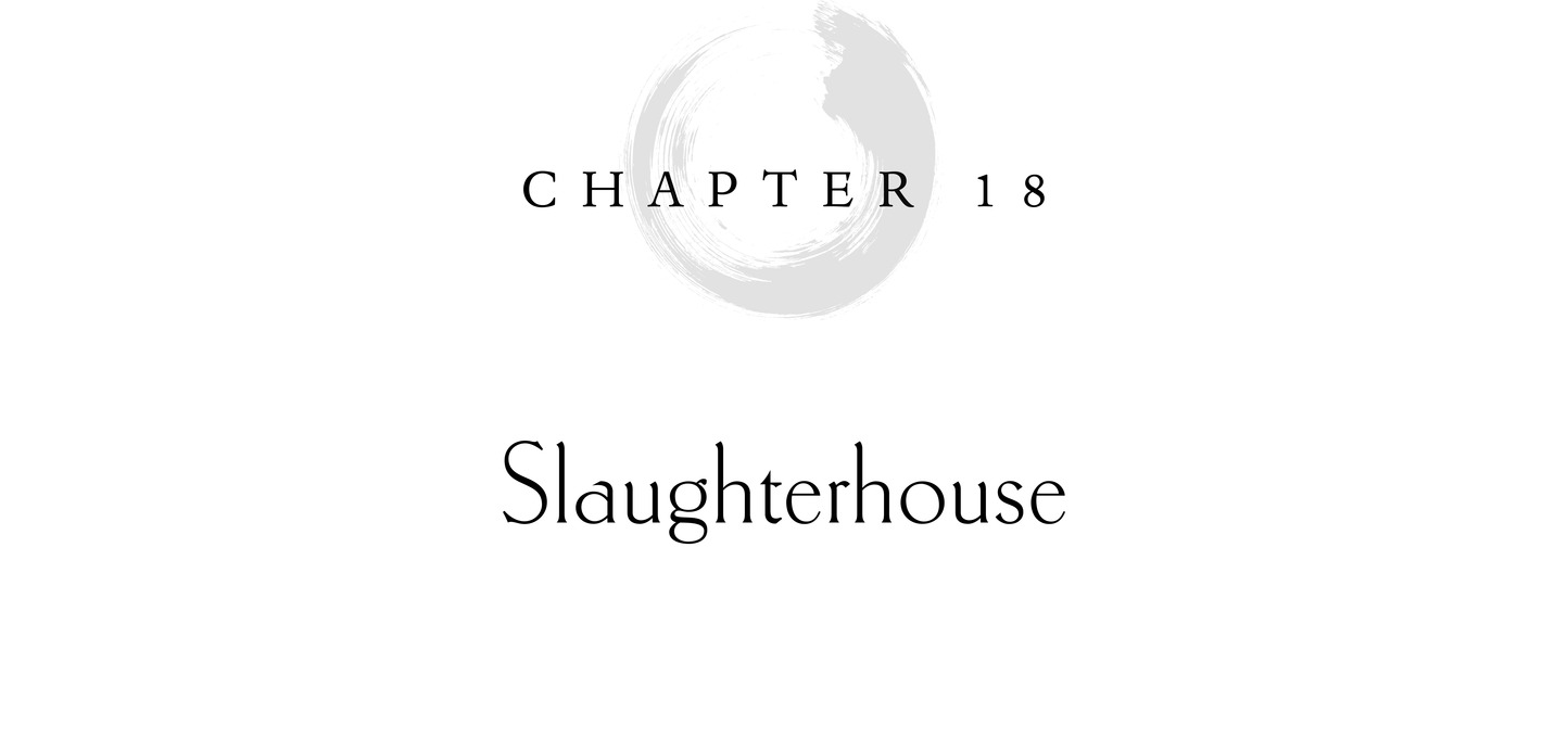 Chapter 18 Slaughterhouse