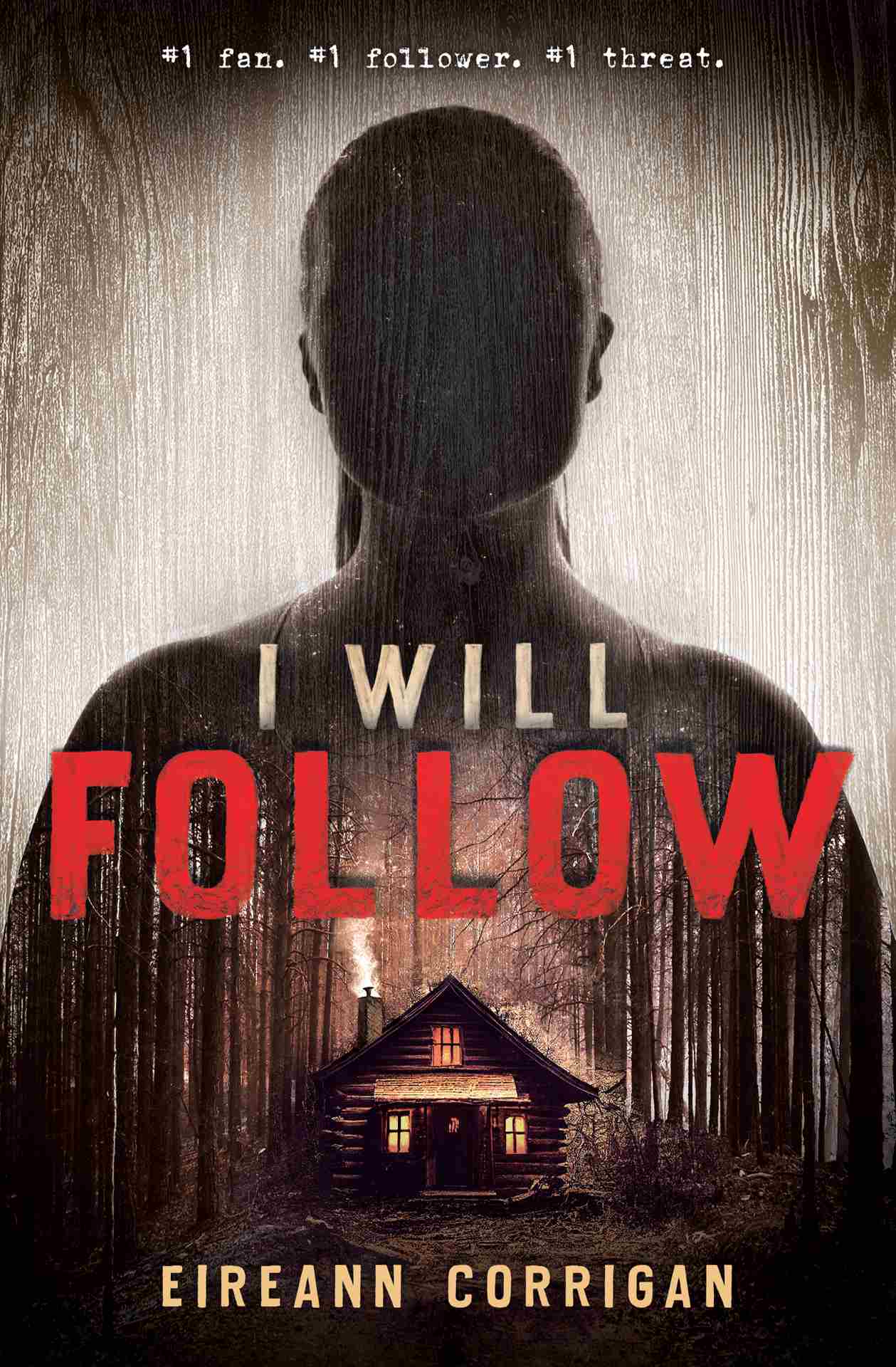 Cover: I Will Follow by Eireann Corrigan