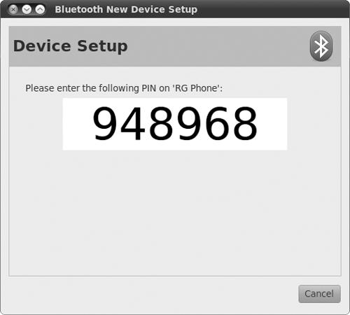 The Bluetooth wizard provides you with a PIN to input into the device you're pairing to.