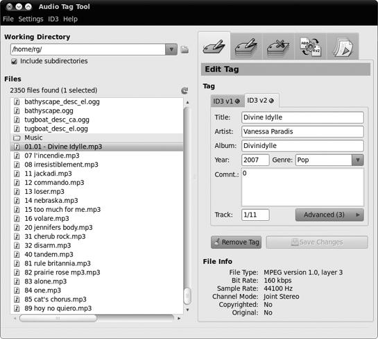 Editing MP3 and Ogg Vorbis file tags in Audio Tag Tool