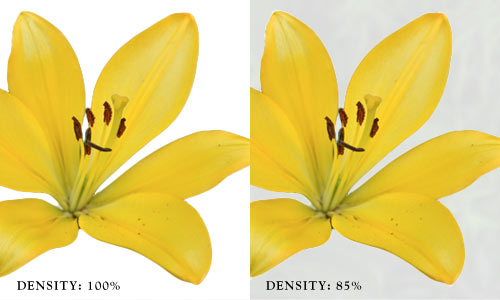 The Density slider controls the strength of the mask.