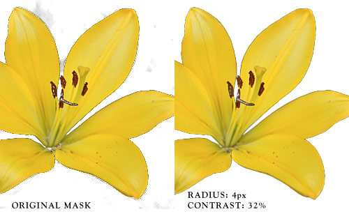 Radius and Contrast can be used to remove unwanted artifacts.