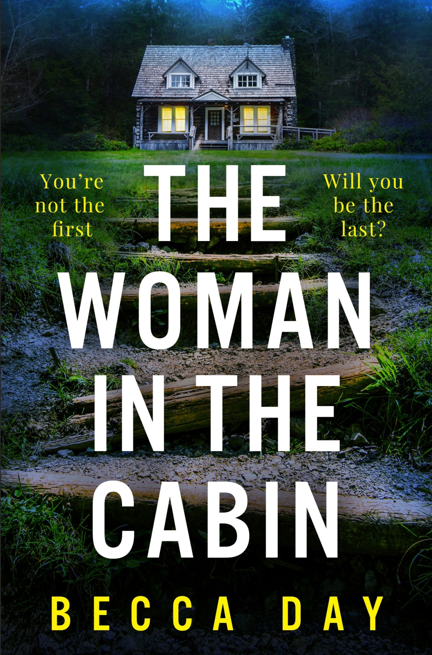 Cover: The Woman in the Cabinby: Becca Day