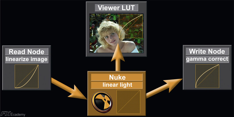 Figure 12.11 The linear workflow