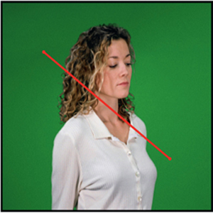 Figure 3.12 Real world greenscreen