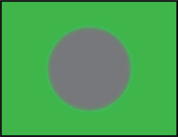 Figure 3.3 Gray circle target on green backing