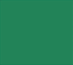 Figure 3.69 Solid greenscreen color