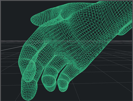 Figure 8.4 The mesh for a 3D hand