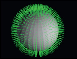 Figure 8.6 Surface normal