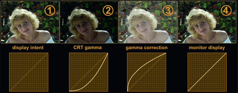 Figure 9.11 The gamma of CRT monitors