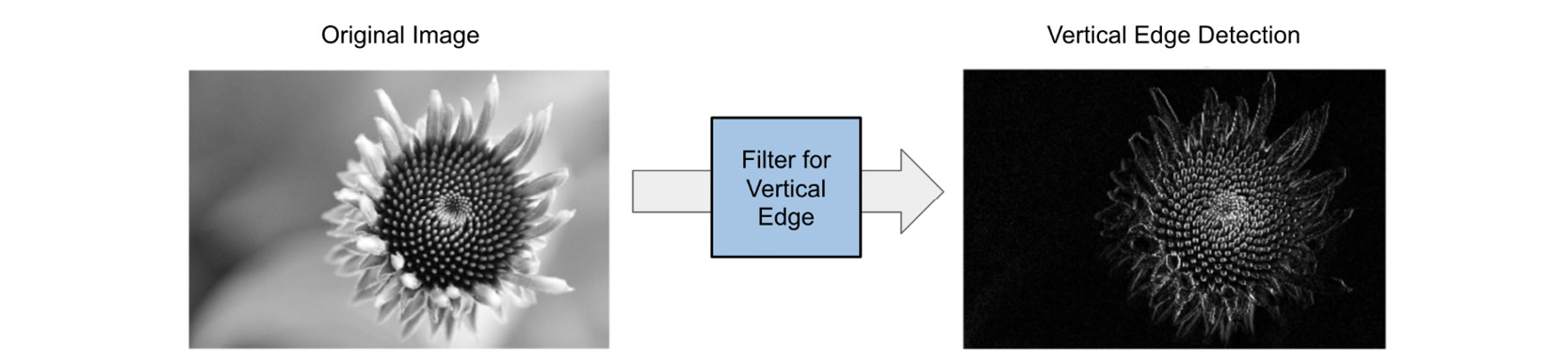 Figure 10.3: Example of a vertical edge feature map
