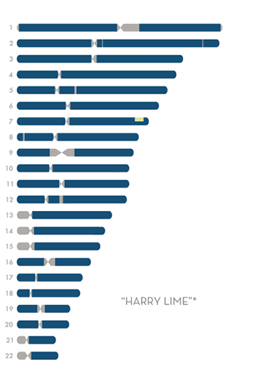 Chromosome%20portraits1REV.tif