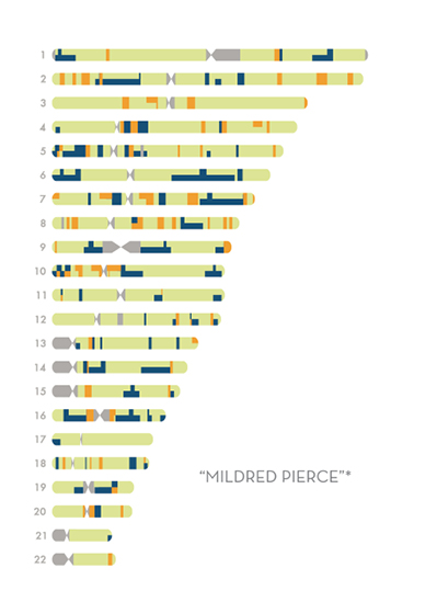 Chromosome%20portraits3REV.tif