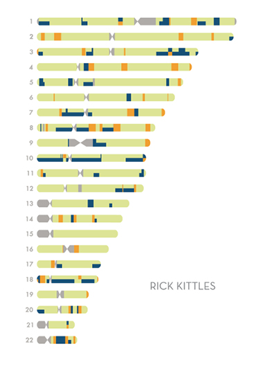 Chromosome%20portraits3REV.tif