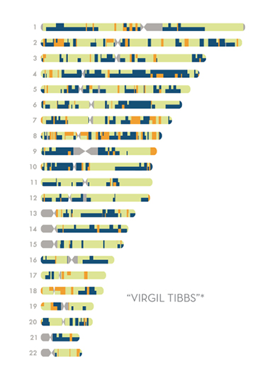 Chromosome%20portraits4REV.tif