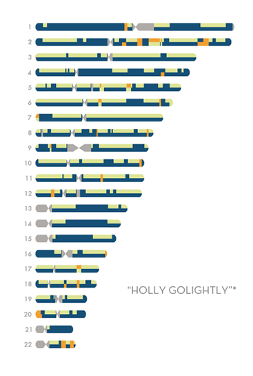 Chromosome%20portraits4REV.tif