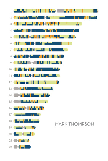 Chromosome%20portraits4REV.tif