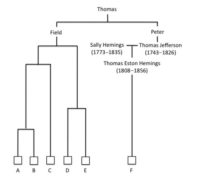 Fig1_rev1.tif