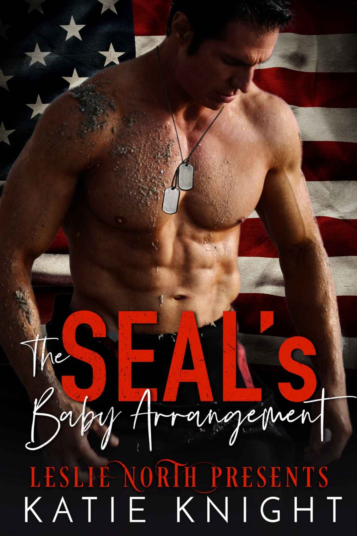 The SEAL’s Baby Arrangement