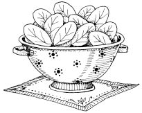 103_SpinachColander.tif