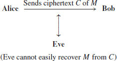 numbered Display Equation