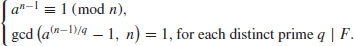 Unnumbered Display Equation