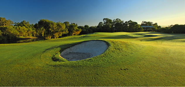 TheVines(Lakes)par-45th.jpg