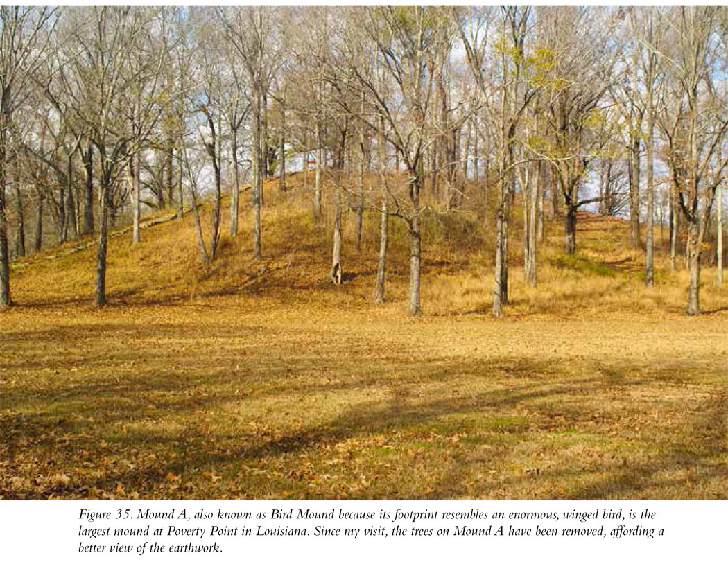 Figure 35. Mound A, also known as Bird Mound because its footprint resembles an enormous, winged bird, is the largest mound at Poverty Point in Louisiana. Since my visit, the trees on Mound A have been removed, affording a better view of the earthwork.