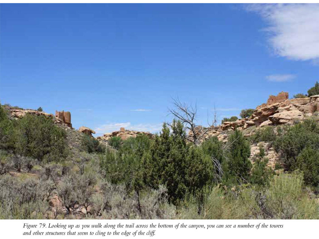 Figure 79. Looking up as you walk along the trail across the bottom of the canyon, you can see a number of the towers and other structures that seem to cling to the edge of the cliff.