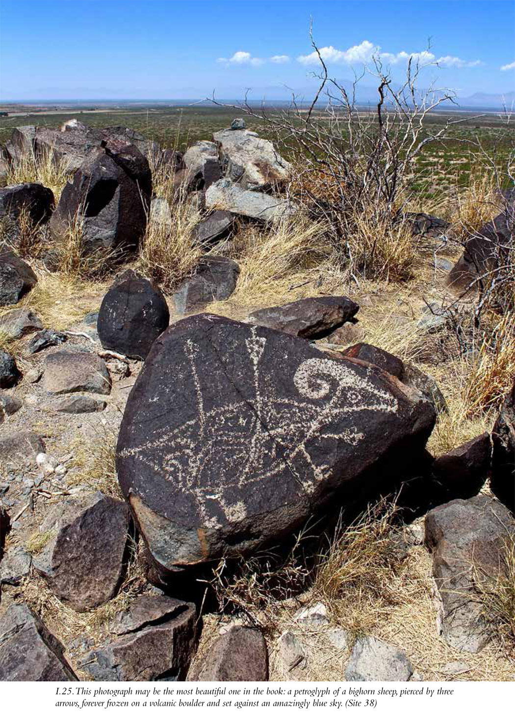 I.25. This photograph may be the most beautiful one in the book: a petroglyph of a bighorn sheep, pierced by three arrows, forever frozen on a volcanic boulder and set against an amazingly blue sky. (Site 38)