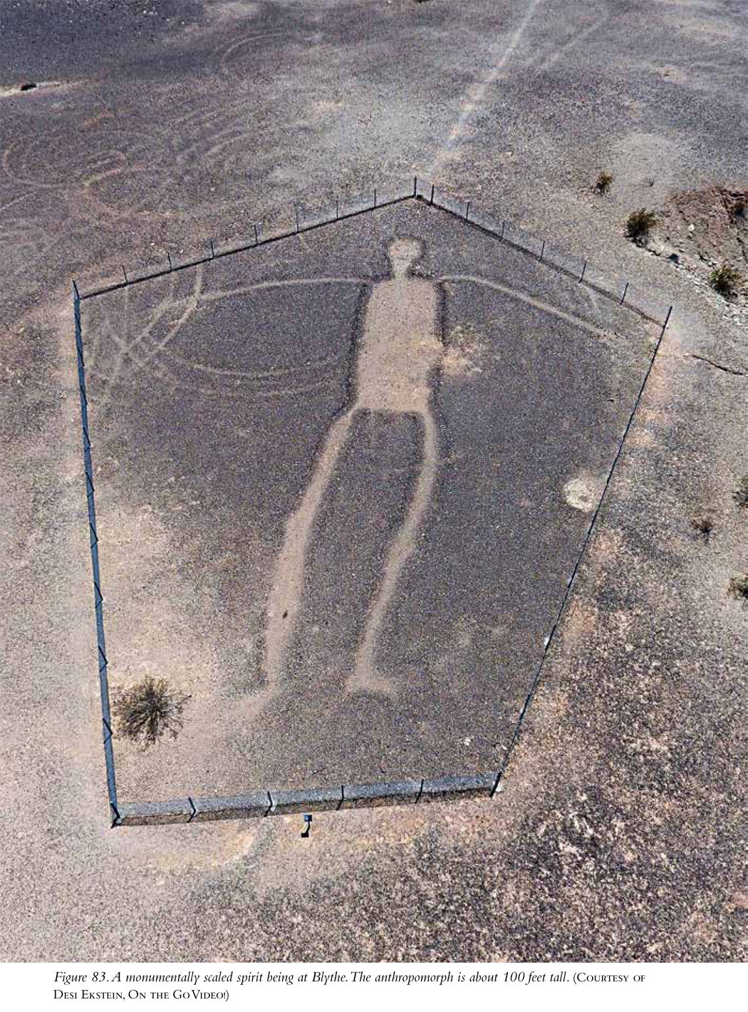 Figure 83. A monumentally scaled spirit being at Blythe. The anthropomorph is about 100 feet tall. (Courtesy of Desi Ekstein, On the Go Video!)