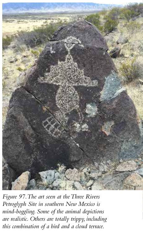 Figure 97. The art seen at the Three Rivers Petroglyph Site in southern New Mexico is mind-boggling. Some of the animal depictions are realistic. Others are totally trippy, including this combination of a bird and a cloud terrace.