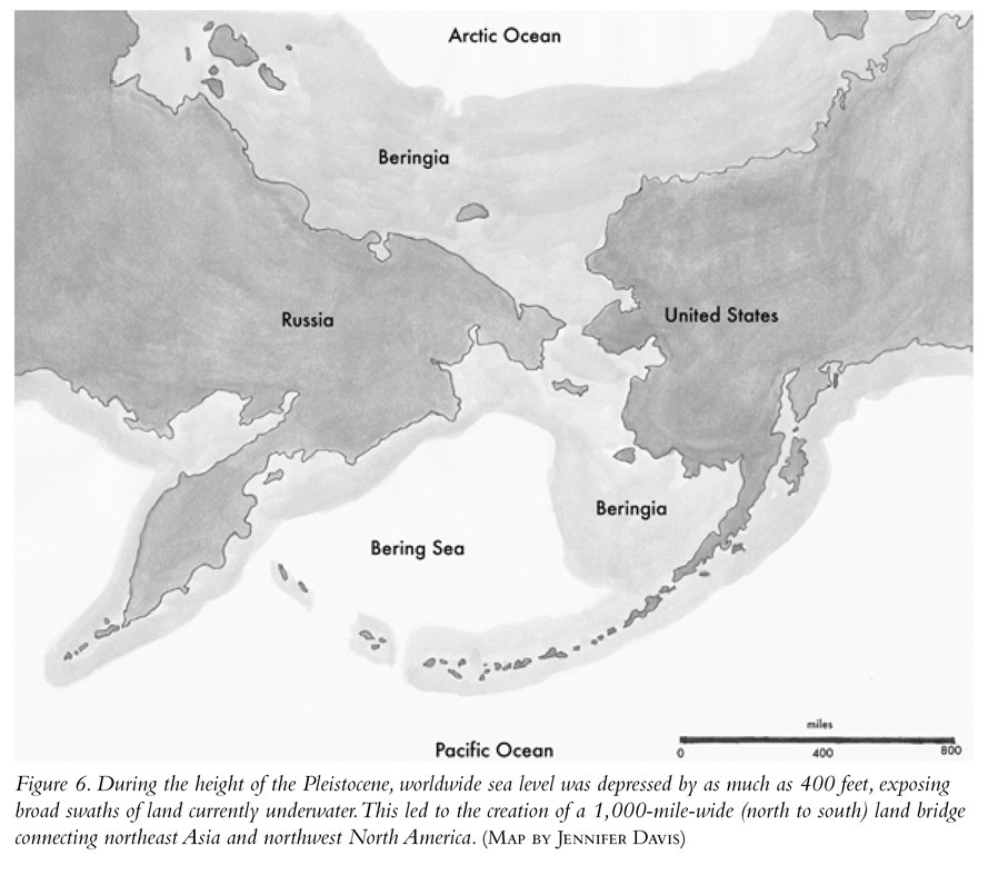 Figure 6. During the height of the Pleistocene, worldwide sea level was depressed by as much as 400 feet, exposing broad swaths of land currently underwater. This led to the creation of a 1,000-mile-wide (north to south) land bridge connecting northeast Asia and northwest North America. (Map by Jennifer Davis)