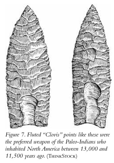 Figure 7. Fluted “Clovis” points like these were the preferred weapon of the Paleo-Indians who inhabited North America between 13,000 and 11,500 years ago. (ThinkStock)