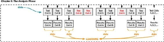 Getting back results and learning from your experiment. These learnings are the basis of product decisions and future experiments.