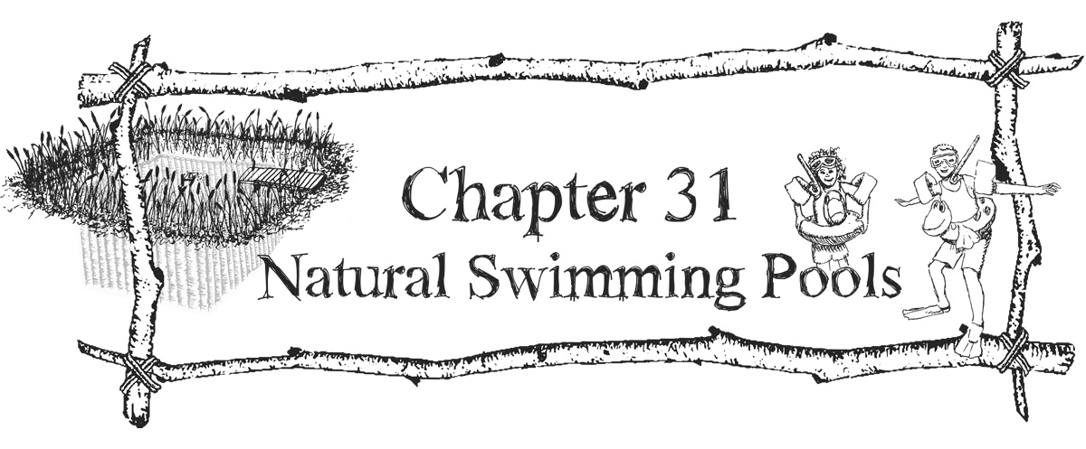 Chapter 31 - Natural Swimming Pools