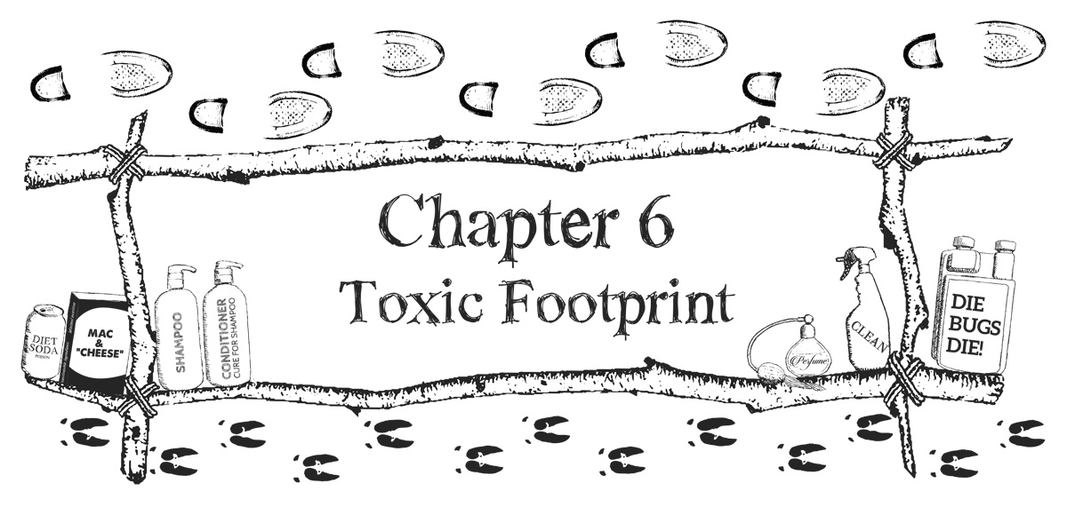 Chapter 6 - Toxic Footprint